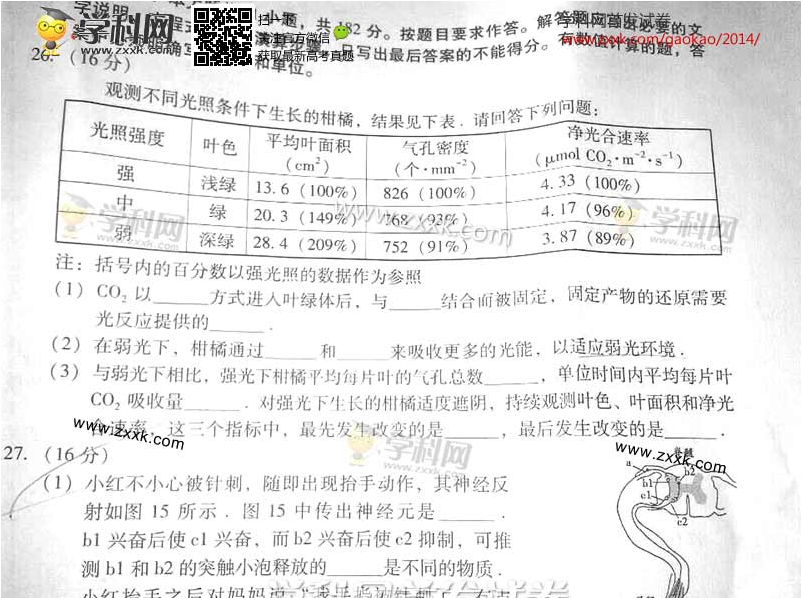 广东高考试卷，广东省高考用的是哪种卷子