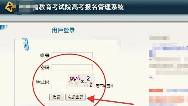 河南招生考试信息(河南省高考招生考试信息管理平台密码忘拉怎么办)