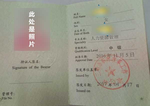 经济师考试(经济师考试考哪些科目?)