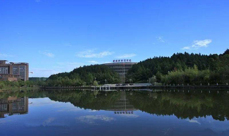 陶瓷大学录取分数线（陶瓷大学录取分数线2022年）