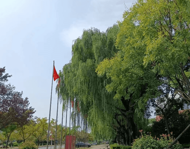 西交利物浦大学分数线，西交利物浦2022年大概录取分数线