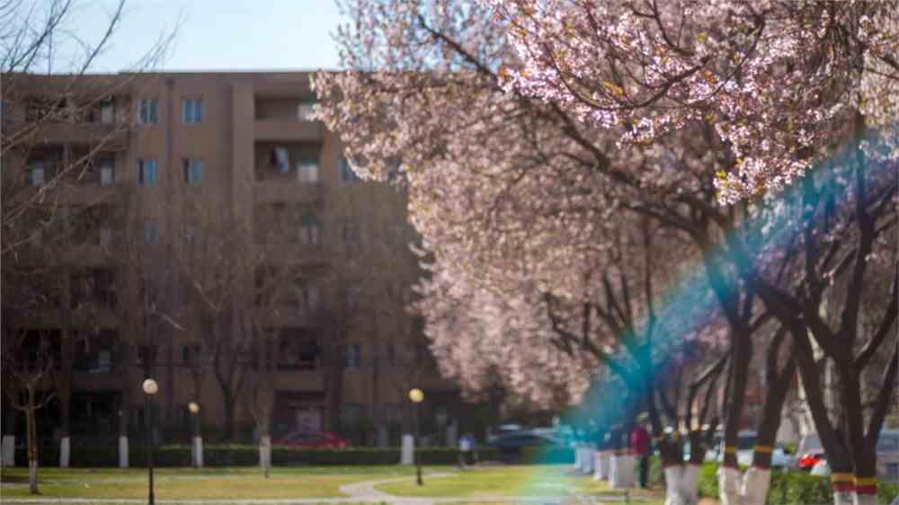 河北工程大学排名，河北工程大学土木工程全国排名